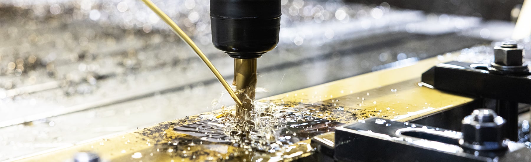 プライバシーポリシー